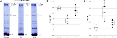 Effect of L-Arginine on Titin Expression in Rat Soleus Muscle After Hindlimb Unloading